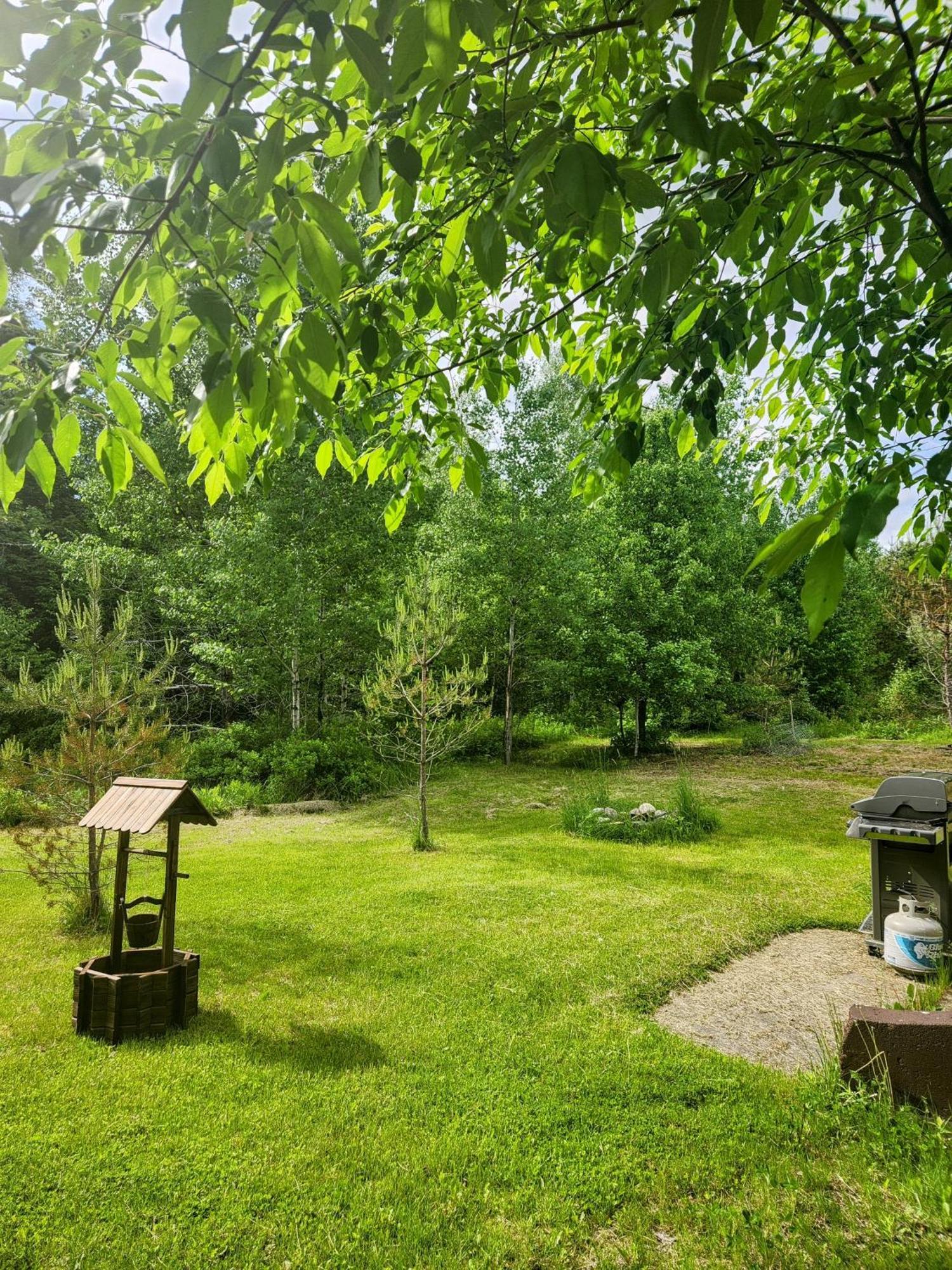 Вілла Backyard Bliss In The White Mountains Лінкольн Екстер'єр фото