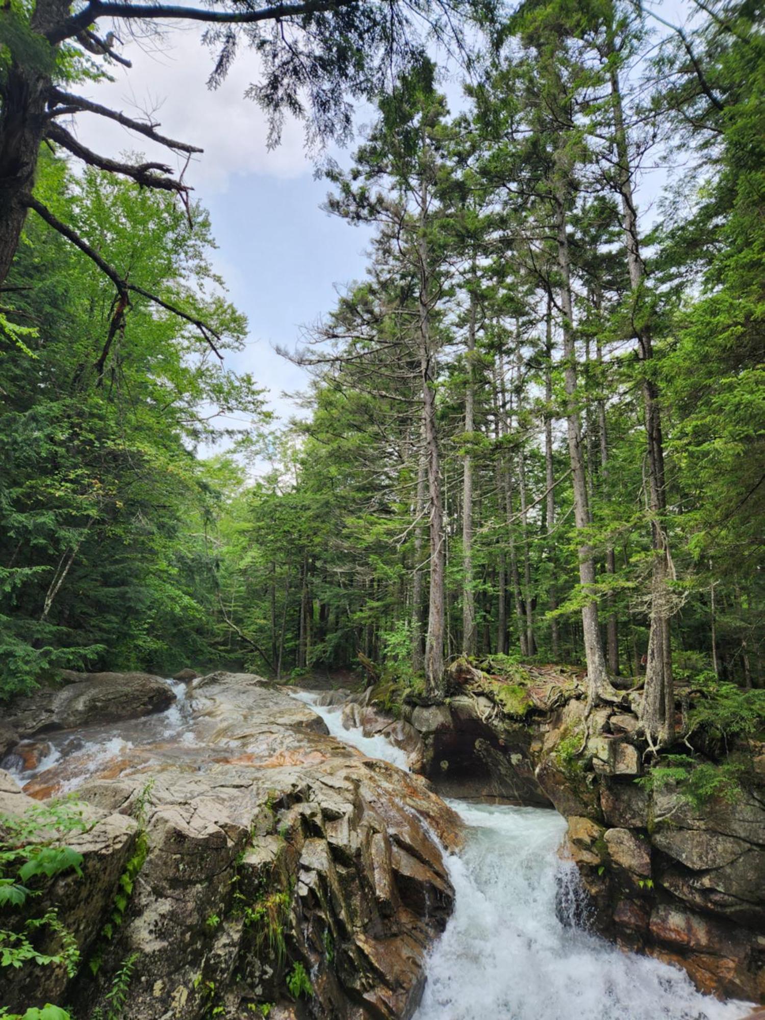 Вілла Backyard Bliss In The White Mountains Лінкольн Екстер'єр фото